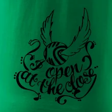 Harry - Zlatá strela