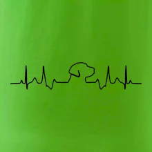 Labradorský retriever EKG Labradorský retriever EKG