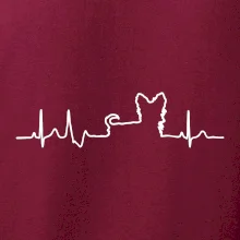 Yorkshirský teriér EKG