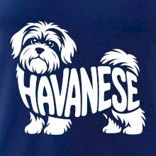 Havanese nápis v tele