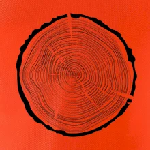 Letokruhy 50 bez veku