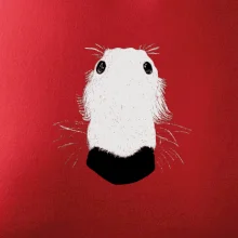 Barzoj čumák (Moňas)