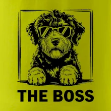 Lagotto romagnolo the boss Lagotto romagnolo the boss