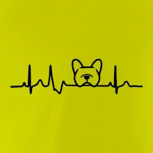 EKG Francúzsky buldoček hlava