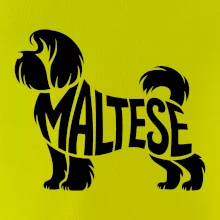 Maltézsky psík nápis v tele