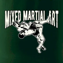 MMA v boji MMA v boji