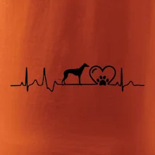 Chrt - Ekg
