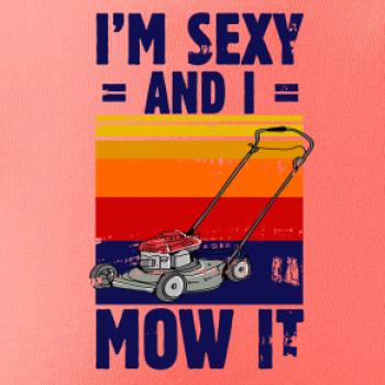 I'm sexy and i mow it