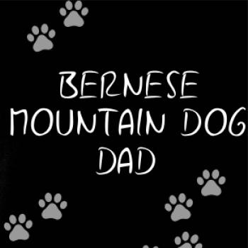 Bernese Mountain Dog dad (Bernský salašnícky pes) (Reflexné lapky)