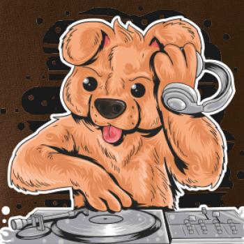 DJ Teddy