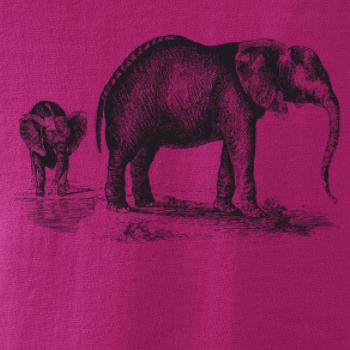 Slonica a sloníča kreslené