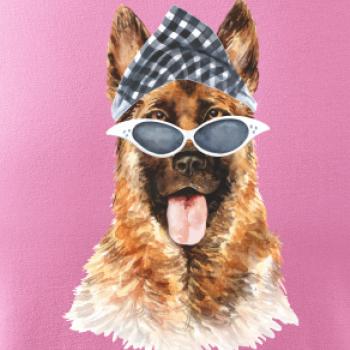 German shepherd so šatkou