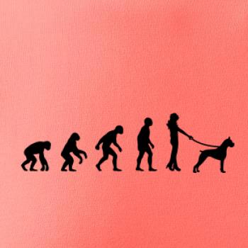 Evolúcia pes boxer (muž-žena)