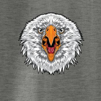  Hlava rozhnevaného orla