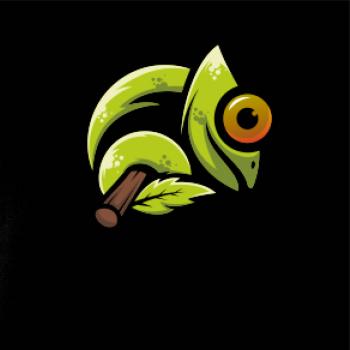 Chameleón Chameleón