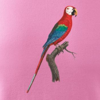 Papagáj červený na vetve