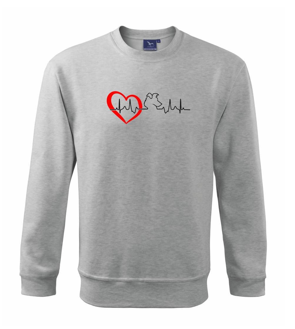 Borderská kólia EKG Borderská kólia EKG