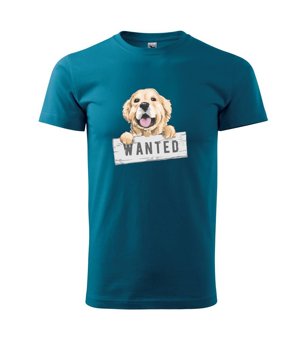 Zlatý retriever - šteniatko wanted Zlatý retriever - šteniatko wanted