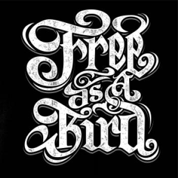 Free as a bird