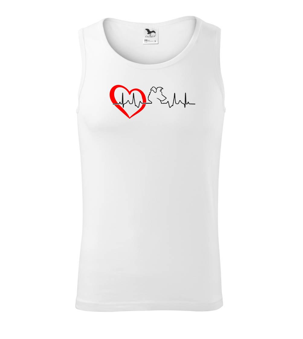 Borderská kólia EKG Borderská kólia EKG