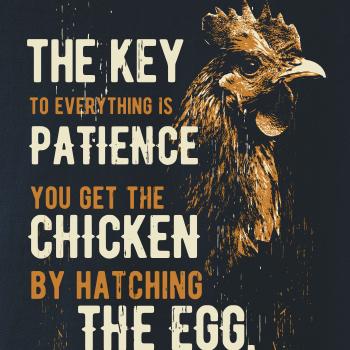 Chicken patience
