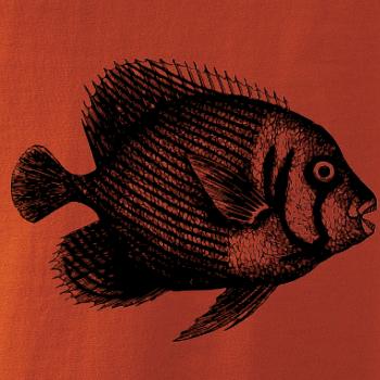 Morská ryba kreslená