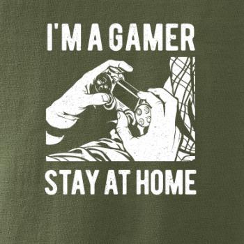 I'm A Gamer