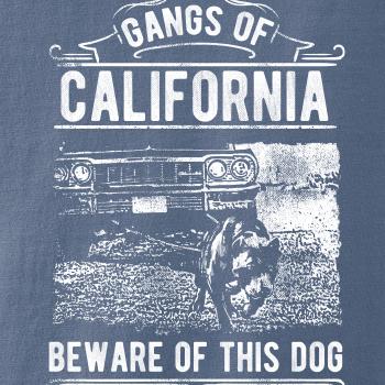 Gangs Of California