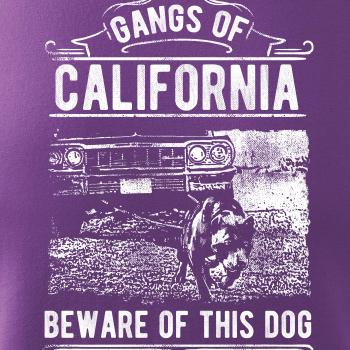 Gangs Of California