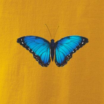 Motýľ Babôčka Morpho Peleides