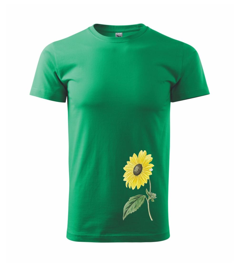 Slnečnica otočená Slnečnica otočená