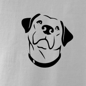 Labrador obrys Labrador obrys