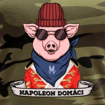 Napoleon domáci prasa