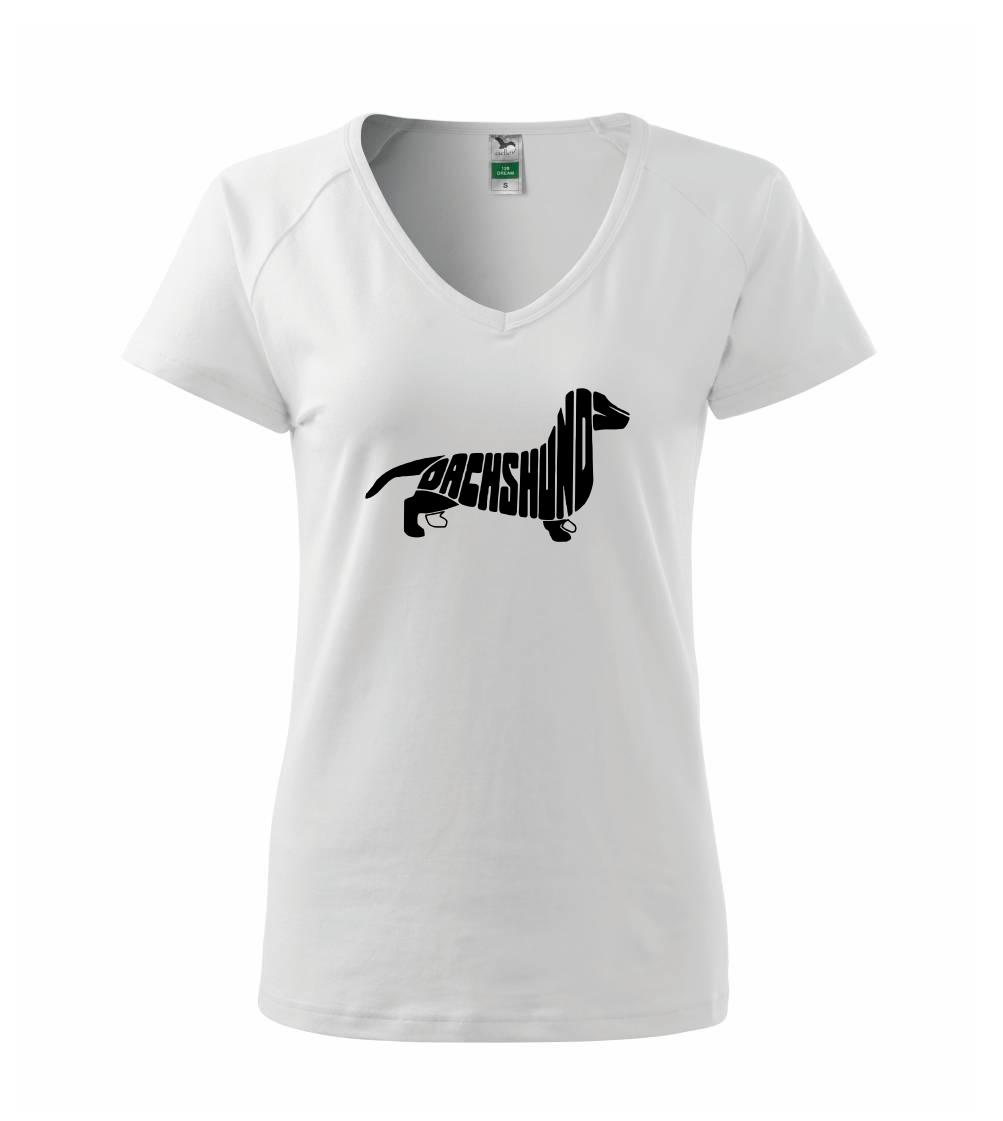 Jazvečík - Dachshund Jazvečík - Dachshund