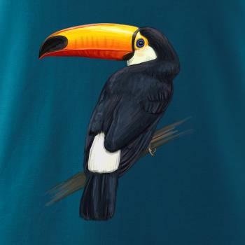 Tukan kreslený Tukan kreslený