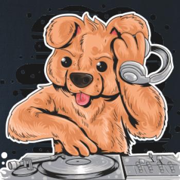 DJ Teddy DJ Teddy