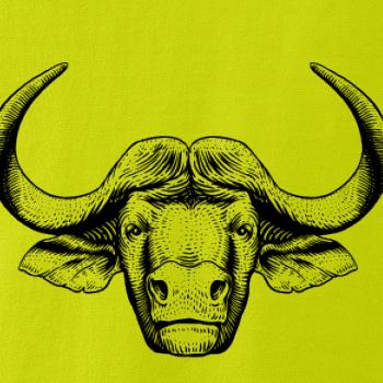 Hlava býka kreslená Hlava býka kreslená
