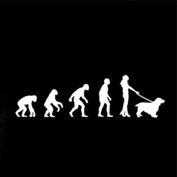 Evolúcia pes kokeršpaniel (muž-žena)