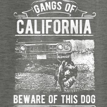 Gangs Of California