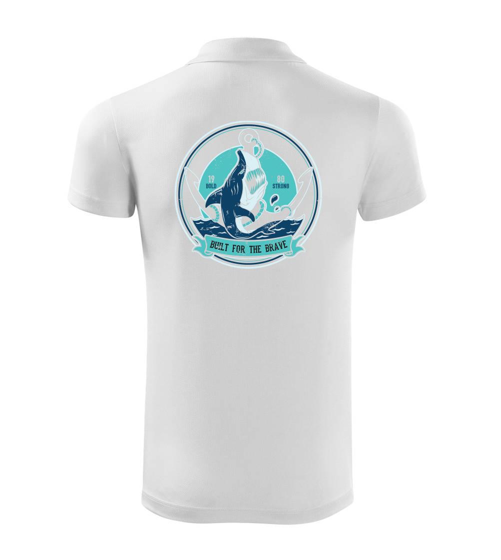 Shark anch Shark anch