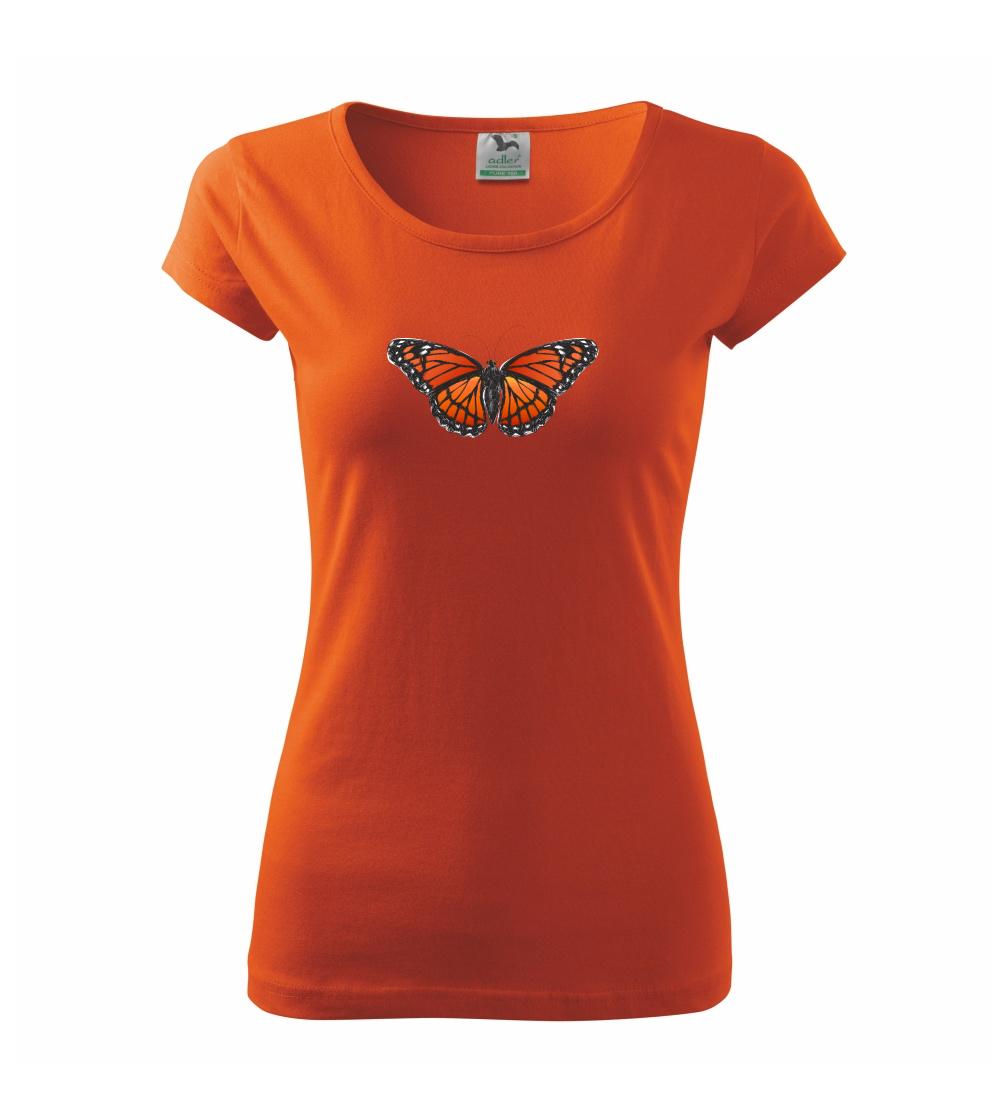 Motýľ Monarcha sťahovavý Motýľ Monarcha sťahovavý