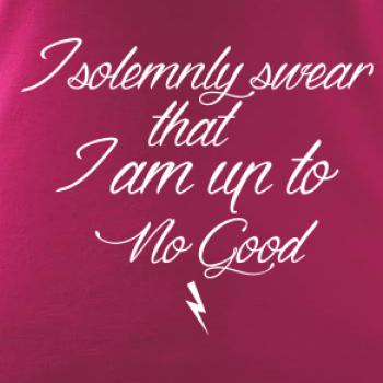 I solemnly swear that I'm up to no good