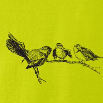 Vtáčiky na vetve maľované