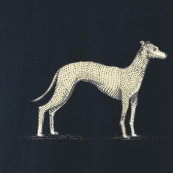 Vintage Whippet