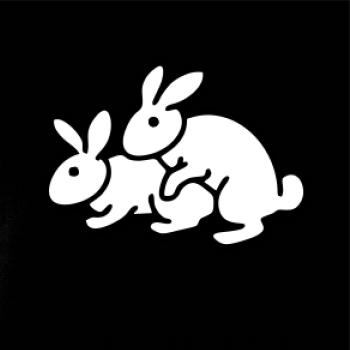 Dupkajúce králiky Dupkajúce králiky