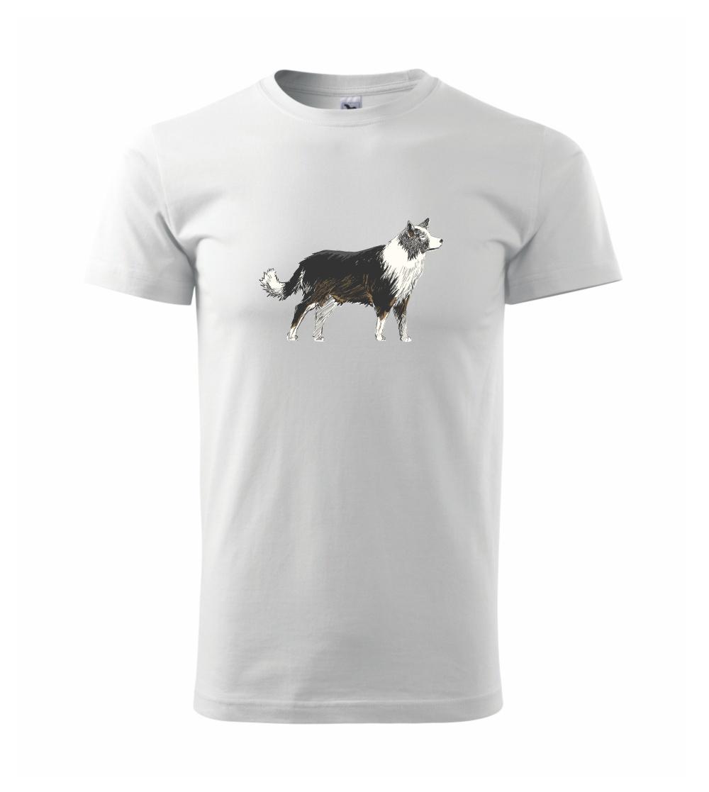 Border kólia kreslená Border kólia kreslená