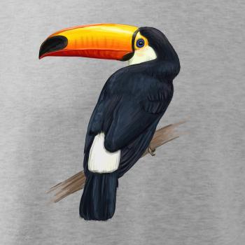Tukan kreslený Tukan kreslený