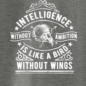 Inteligence Without Ambition is Like a bird Without Wings