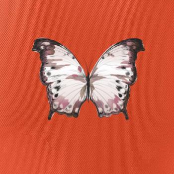 Motýľ ružovobiely