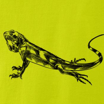 Ceruzkou kreslený Leguán